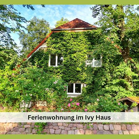 Ivy Haus Apartment Falkensee Exterior foto
